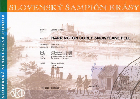 Slovenský šampion krásy